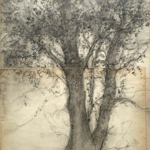Sue BRYAN | Bough - 25 x 20 cm