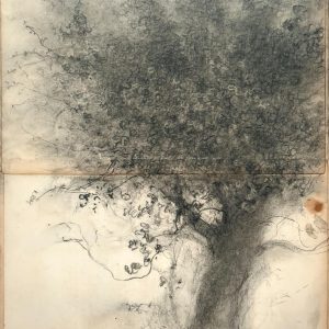 Sue BRYAN | Nestling - 25 x 20 cm