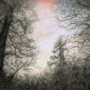 Sue BRYAN |  Breathing space -  90 x 100 cm