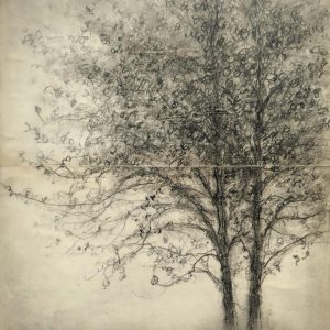 Sue BRYAN |  Twinset -  25 x 20 cm