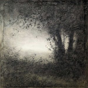 Sue Bryan |  Bloom shadow (Pathway) - 25 x 25 cm