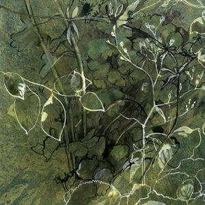 Nora Douady |  Graphisme-vegetal - 20 x 14,5 cm